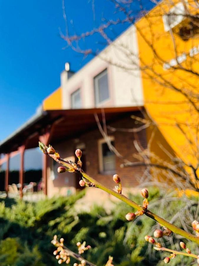 Gabi Haz Apartmanok*** Hajdúszoboszló Exterior foto